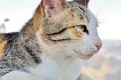 三零魔域有哪些特色私服？