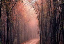 三零魔域发布网是专注于提供《魔域》游戏私服信息的综合平台，主要面向怀旧玩家和打金用户群体。