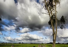 魔域私发布网-2025年度最新最全魔域SF发布站-000MY.COM