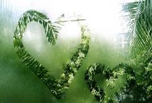 云魔域辅助T8，魔域私服外挂，今日新开魔域发布网