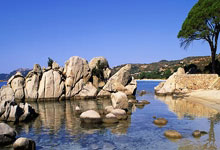 919魔域私新开服发布网-919魔域私新开服手机版下载v1.0.0